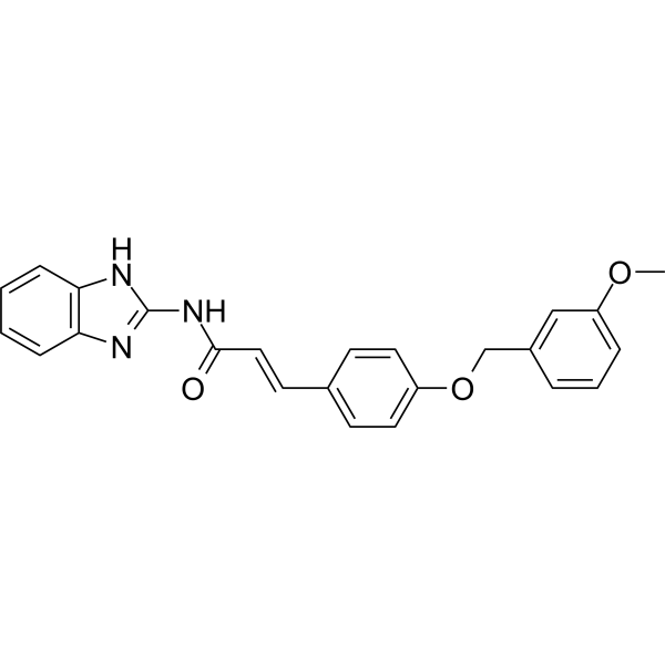 NF-κB-IN-8 2924565-59-1